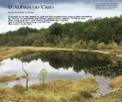 Magical Places Of Britain Book By Rob Wildwood -The Viking Dragon Page043 500827