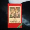 The Viking Prophecy Book - From The Voluspa -The Viking Dragon bk viking prophecy book front cover