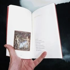 The Viking Prophecy Book - From The Voluspa 9 The Viking Prophecy Book - From The Voluspa -The Viking Dragon bk viking prophecy book inside the fate of baldr