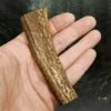 Scottish Stag Antler Roll -The Viking Dragon ch antler roll in open hand