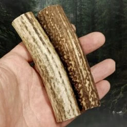 Scottish Stag Antler Roll -The Viking Dragon ch antler rolls in hand