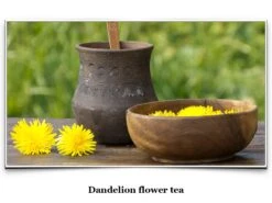 Eat Like A Viking Book By Craig Brooks -The Viking Dragon eat like a viking dandelion flower tea