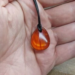 Amber Amulet Pendant -The Viking Dragon eg medium amber amulet pendant clear on hand