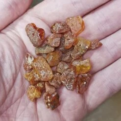 Amber Chips With Drilled Holes