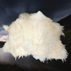 English Sheep Fleece / Sheep Skin