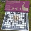 Hnefatafl Viking Game 1 Hnefatafl Viking Game -The Viking Dragon hc viking hnefatafl game outside