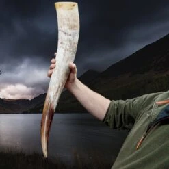 XL Extra Long Polished Viking Drinking Horn -The Viking Dragon hw viking drinking horn xl size brown in hand