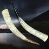 XL Extra Long Polished Viking Drinking Horn -The Viking Dragon hw viking drinking horns xl sizes