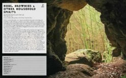 Magical Britain Book By Rob Wildwood -The Viking Dragon magical britain rob wildwood hobs brownies other household spirits 829207