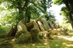 Magical France Book By Rob Wildwood -The Viking Dragon magical france rob wildwood Ti ar c Horriged