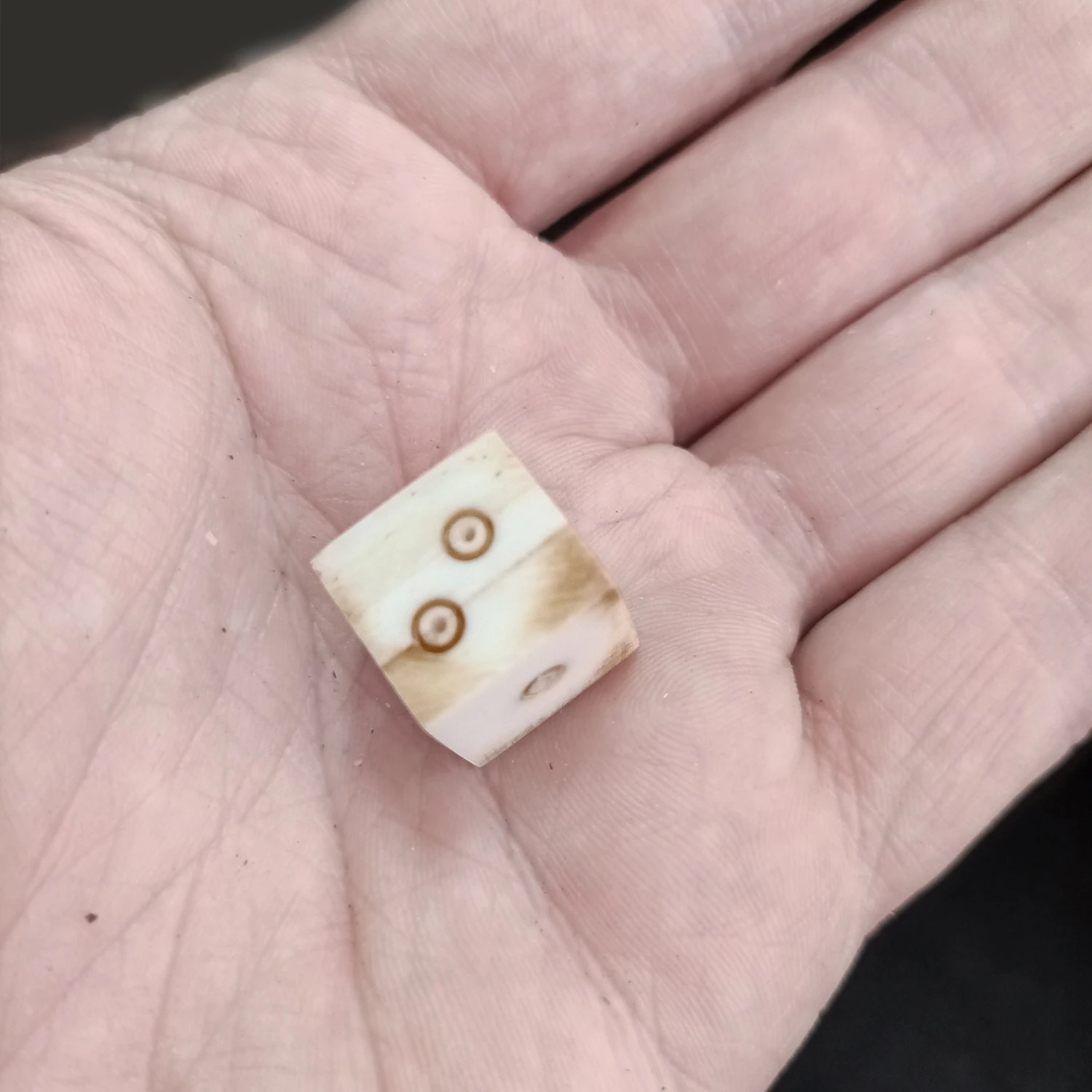 Large Bone Dice With Brown Dot And Rings Marks 7 Large Bone Dice With Brown Dot And Rings Marks - Image 5