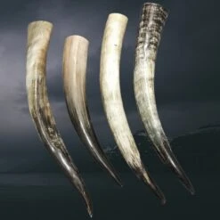 Medium Viking Drinking Horn - Long
