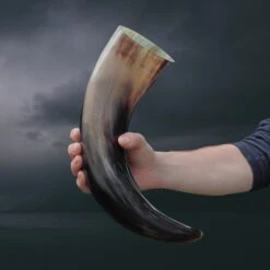 Ox Horn Polished Viking Drinking Horn -The Viking Dragon nc ox horn polished viking drinking horn in hand 1.5 litre