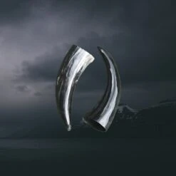 Ox Horn Polished Viking Drinking Horn -The Viking Dragon nc ox horn polished viking drinking horns 0.2 litre