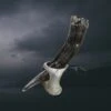 Ox Horn Small Viking Drinking Horn With Horn Stand -The Viking Dragon nc ox horn viking drinking horn on horn stand example