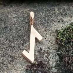 Bronze Elder Futhark Rune Pendant 37 Bronze Elder Futhark Rune Pendant -The Viking Dragon sn bronze elder futhark rune pendant eihwaz