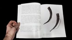 Vikings - Swords Dripping Gold Silver Blood - Book -The Viking Dragon tai larson viking swords book drinking horns