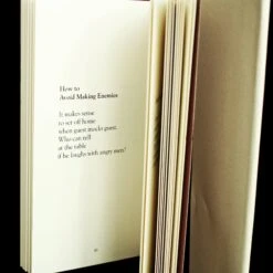 The Sayings Of The Viking Book - Hardback Version -The Viking Dragon viking syaings book how to avoid making enemies